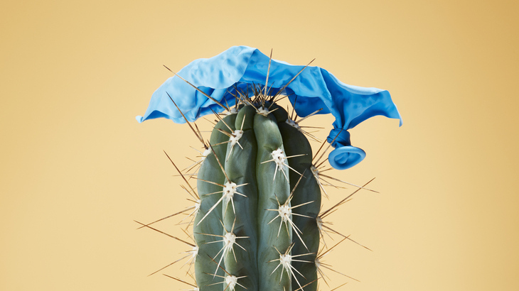 deflation-cactus.jpg