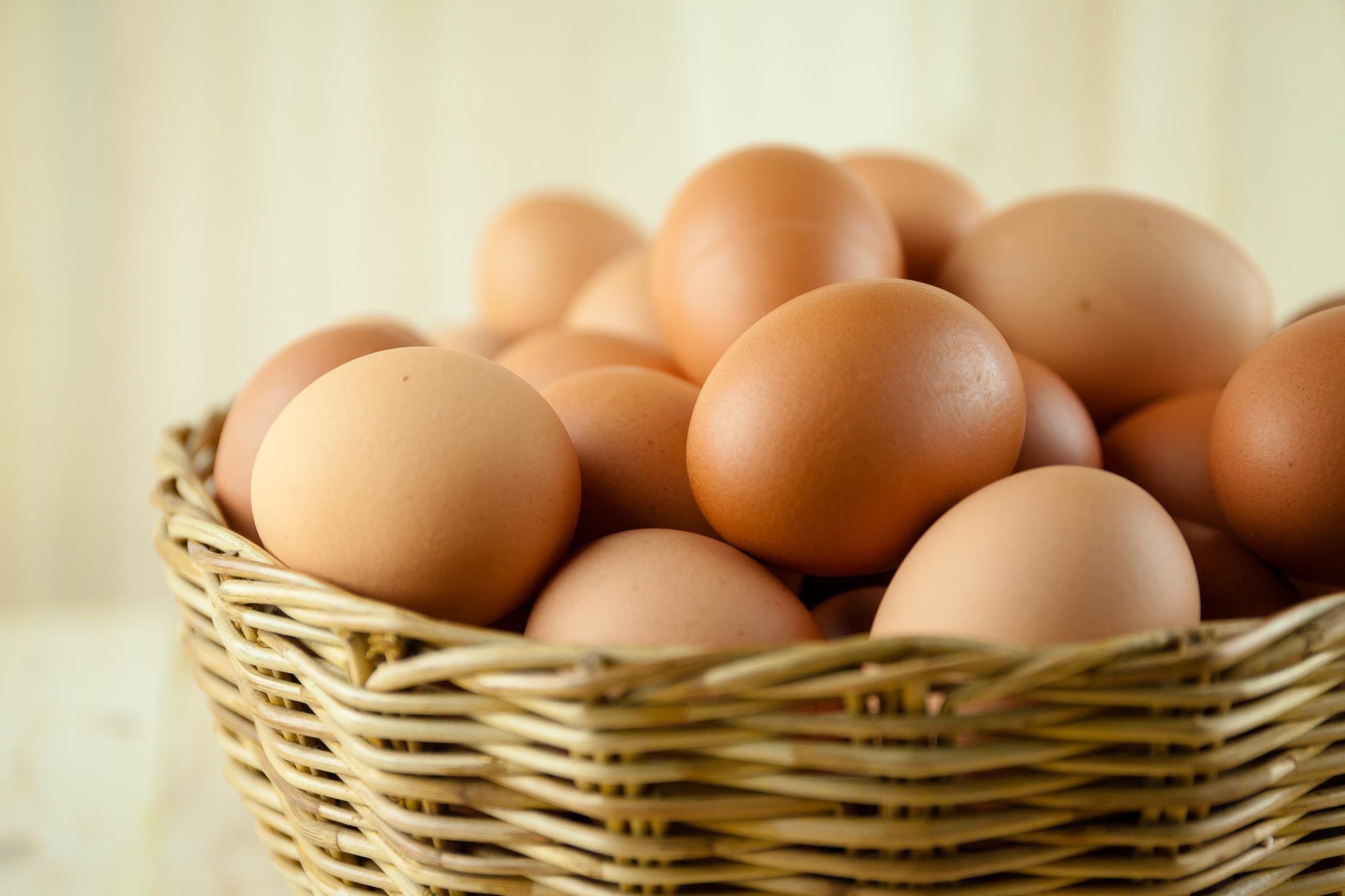 eggs-in-one-basket-gettyimages-486369214.jpg