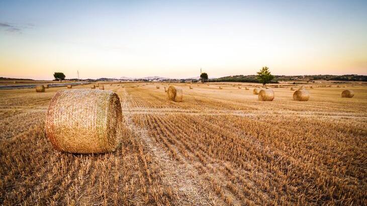 Farming-hay-bales.jpg
