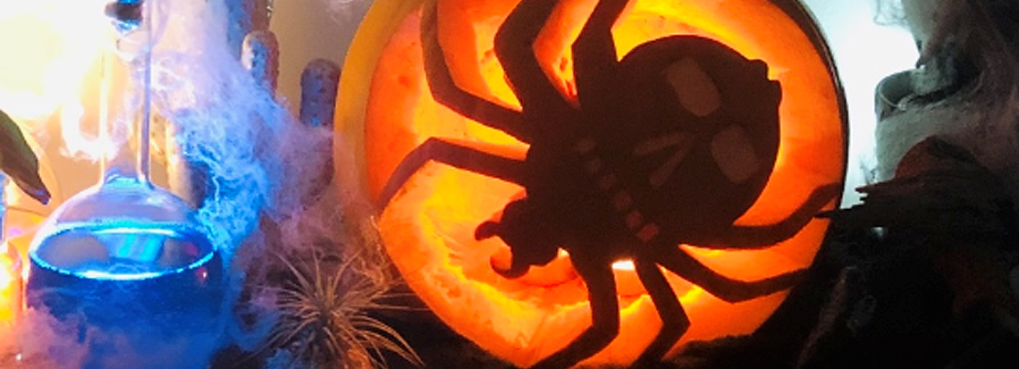 Halloween pumpkin spider
