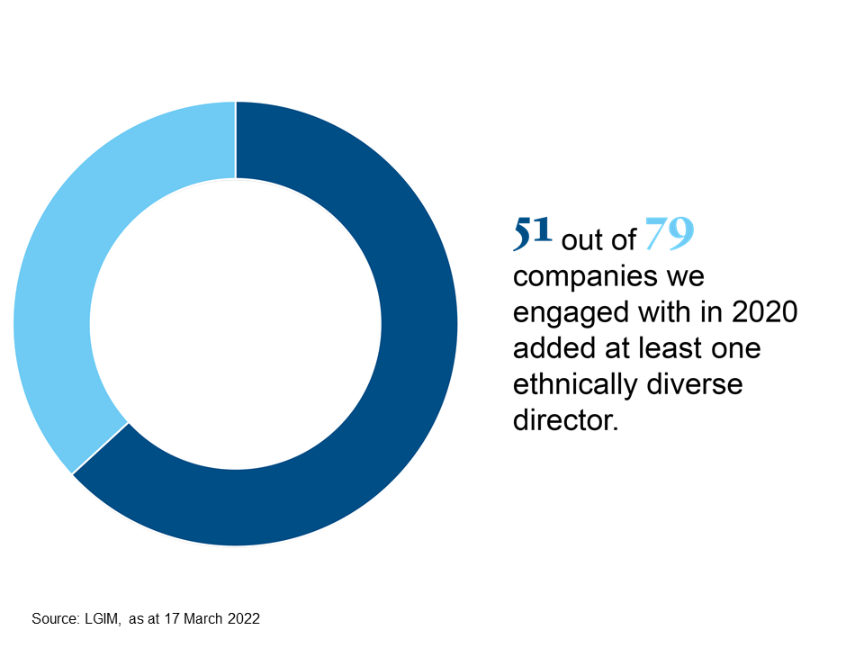 Slides for ethnic representation on boards campaign 1.png