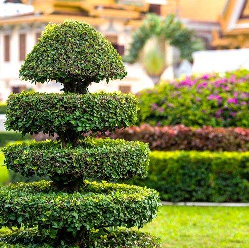Brexit scenarios and the art of topiary