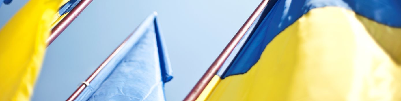 Ukraine flags banner.jpg