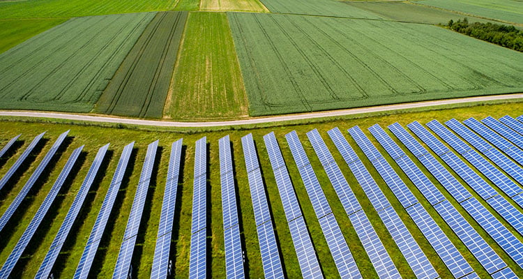 Solar-Farm.jpg